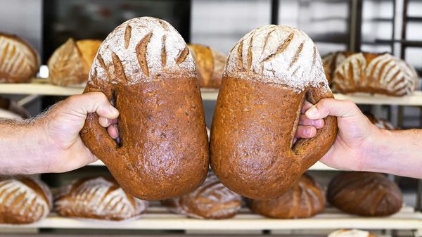Two pieces of bread in form of beer mugs held by two hands toasting 